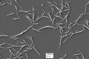 Nanokristalinična celuloza